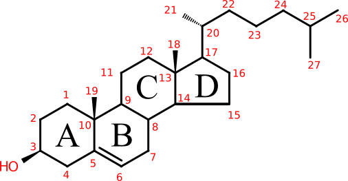 Sterol numbering diagram