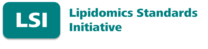LSI logo