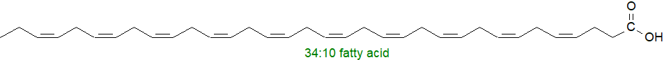 34:0 fatty acid 34:0 fatty acid