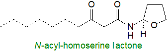 N-acylhomoserine lactone N-acylhomoserine lactone