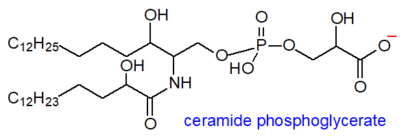 ceramide phosphoglycerate