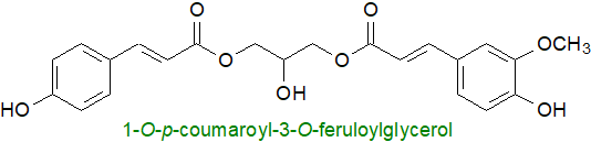 coumaroylferuloylglycerol coumaroylferuloylglycerol