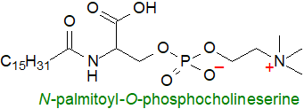Formula of N-palmitoyl-O-phosphocholineserine Formula of N-palmitoyl-O-phosphocholineserine