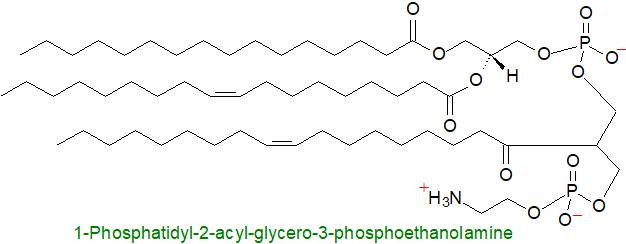 Structure of 1-phosphatidyl-2-acyl-glycero-3-phosphoethanolamine 1-phosphatidyl-2-acyl-glycero-3-phosphoethanolamine