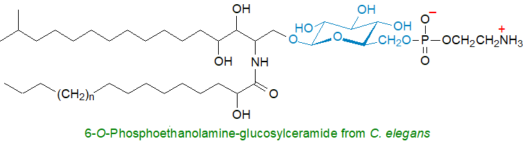 Formula of phosphoethanolamine-glucosylceramide Formula of phosphoethanolamine-glucosylceramide