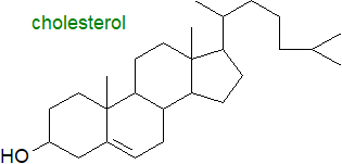 Lipid versus non-lipid?