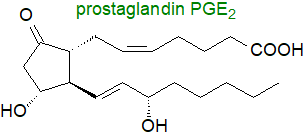 Formula of prostaglandin PGE2