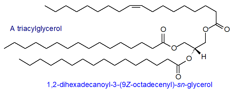 Formula of a triacylglycerol