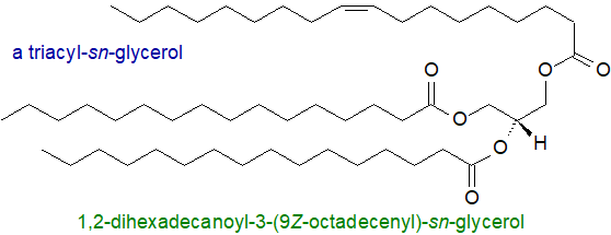 Formula of a triacylglycerol