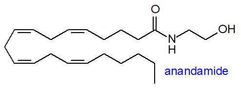 Structure of anandamide