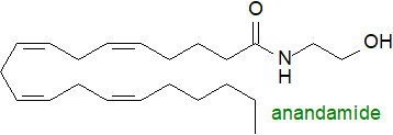 Structure of anandamide