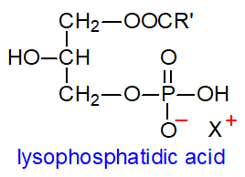 Structure of lysophosphatidic acid