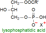 Structure of lysophosphatidic acid