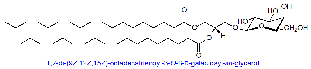 Formula of a monogalactosyldiacylglycerol