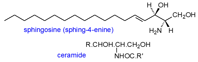 Formulae of sphingosine and ceramide