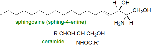 Formulae of sphingosine and ceramide