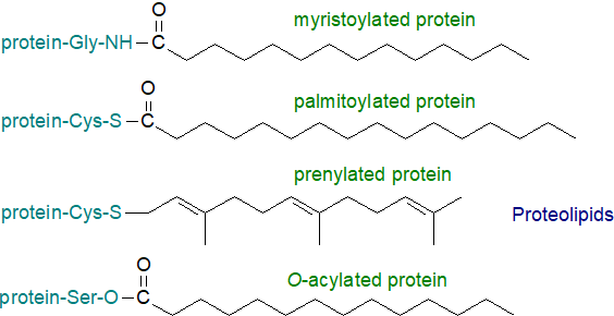 Formulae of proteolipids