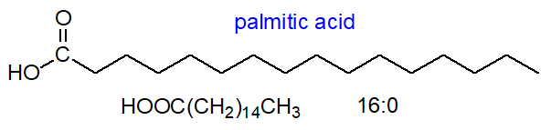 Formula of palmitic acid