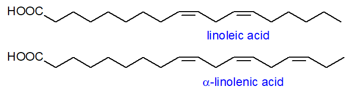Formulae of linoleic and alpha-linolenic acids