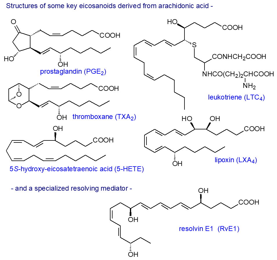 Formulae of prostaglandins and leukotrienes