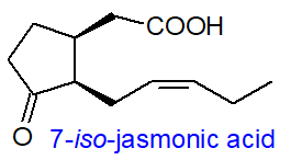 Formula of 7-iso-jasmonic acid