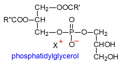 Formula of phosphatidylglycerol