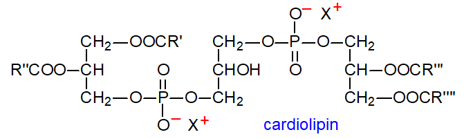 Formula of cardiolipin