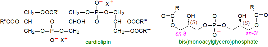 Formula of cardiolipin