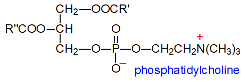 Formula of phosphatidylcholine
