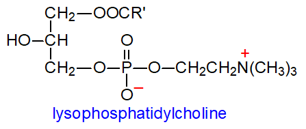 Formula of lysophosphatidylcholine