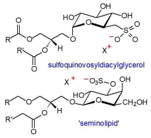 Formula of sulfoquinovosyldiacylglycerol