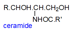 Formula of ceramide