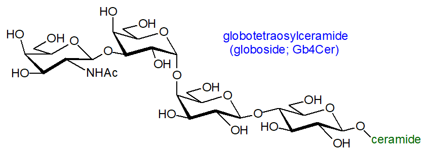 Formula of a globoside
