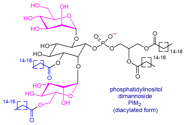 Formula of a phosphatidylinositol dimannoside