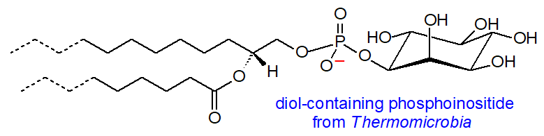 1,2-Diol-containing-phosphoinositide from Thermomicrobia