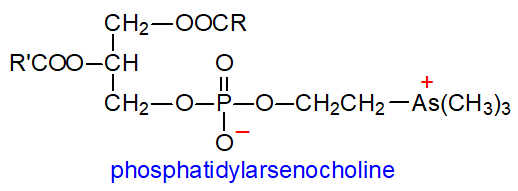 Formula of phosphatidylarsenocholine