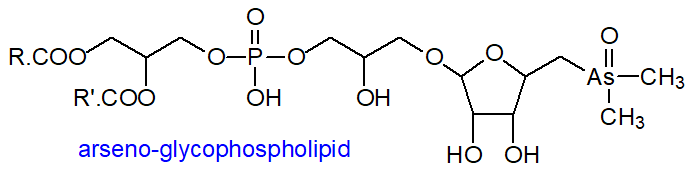 Formula of arsenic-containing glycophospholipid