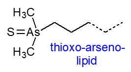 Thioxo-arseno lipid