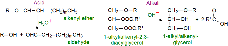 Formulae of ethers and vinyl ethers