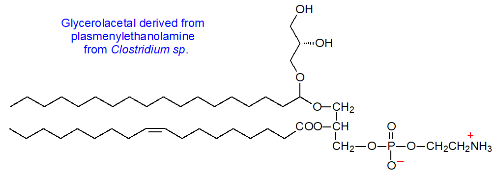 Glycerol dialkyl glycerol tetraether lipid from soil anaerobic bacteria