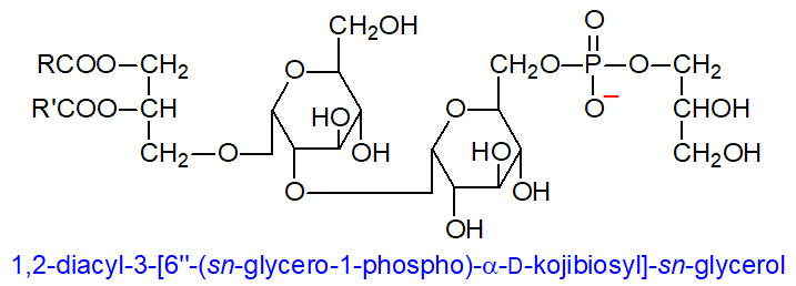 Formula of 1,2-diacyl-3-[6'-(sn-glycero-1-phospho)-apha-D-kojibiosyl]-sn-glycerol
