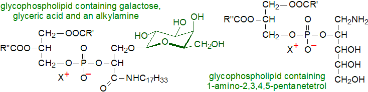 Formula of 1,2-diacyl-3-[6'-(sn-glycero-1-phospho)-apha-D-kojibiosyl]-sn-glycerol