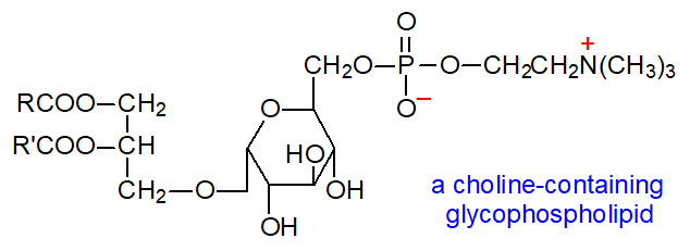 Formula of a choline-containing glycophospholipid