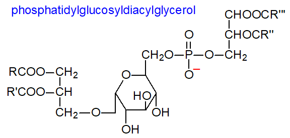 Formula of phosphatidylglucosyldiacylglycerol
