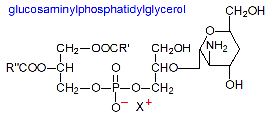 Formula of a glucosaminylphosphatidylglycerol