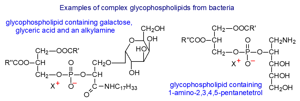 Formulae of complex glycophospholipids from bacteria