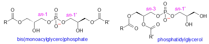 Formula of bis(monacylglycero)phosphate verus phosphatidylglycerol