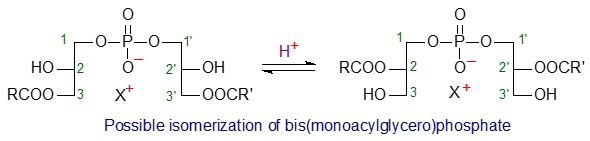 Isomerization of bis(monacylglycero)phosphate