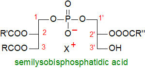 Formula of 'semilysobisphosphatidic acid'