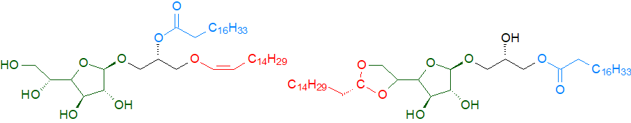 Biosynthesis of acylated galactosyldiacylglycerols